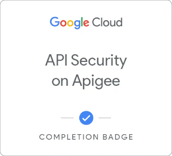 Api Security With the Apigee Api Platform
